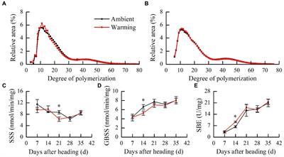 Experimental warming under field conditions alters starch multi-structure and flour and starch functionality of late-season indica-japonica hybrid rice in southern China